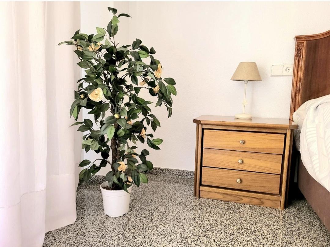 Appartement Amistosa, Habitacion Con Balcon, Alicante, Playa, Centro, Rambla, Mercado Extérieur photo